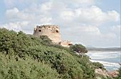 Portoferro